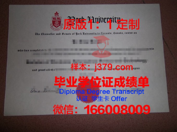 朝鲜大学毕业证样本