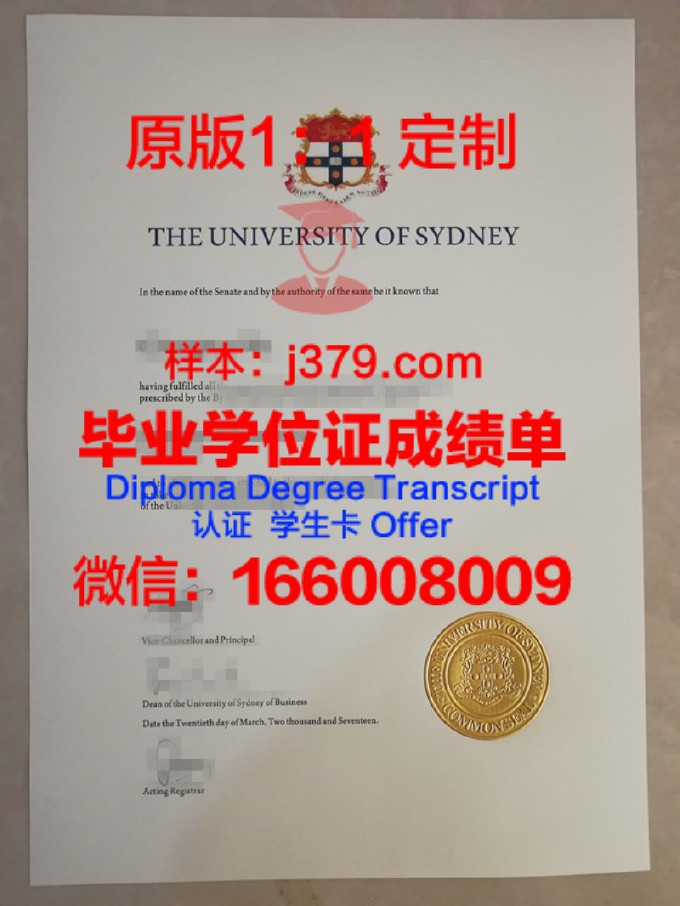 悉尼大学毕业证原版