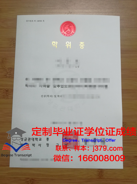 安卡拉伊迪迪林贝亚兹大学学位证定制:传承与创新的艺术结晶