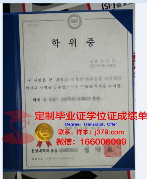 维大硕士学位证:开启未来职业发展新篇章