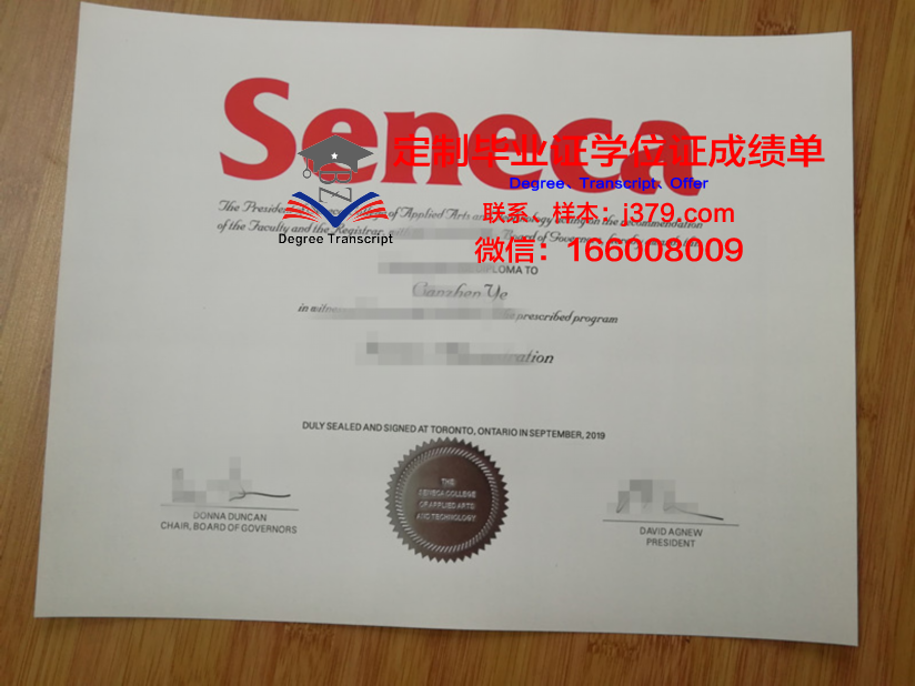 安大略艺术与设计大学本科学位证:开启艺术与设计领域的辉煌之旅