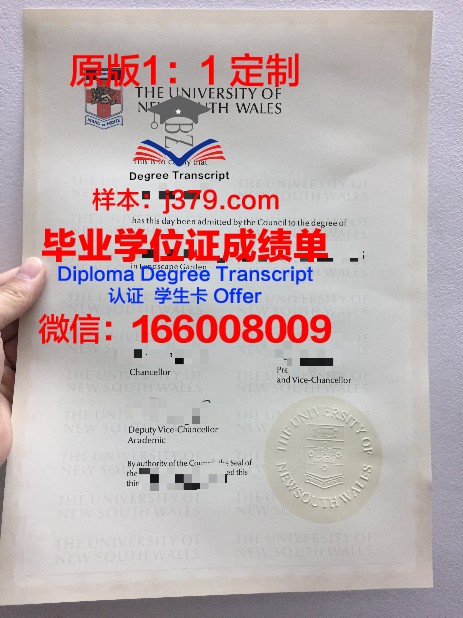安迪扬国立语言师范学院毕业证成绩单:承载荣誉与梦想的纸笔之间