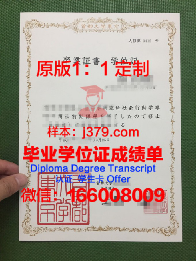 ESP音乐专门学校东京校区本科毕业证:音乐的敲门砖
