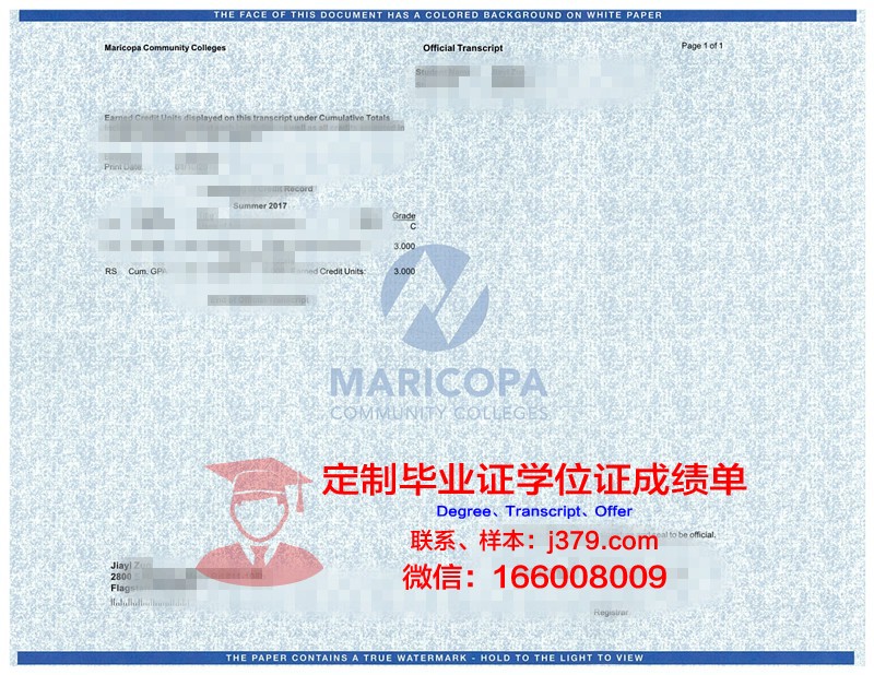 维多大成绩单:揭示教育改革成果的缩影