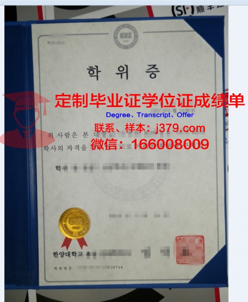 长冈造型大学硕士学位证:一份独特的学术荣誉