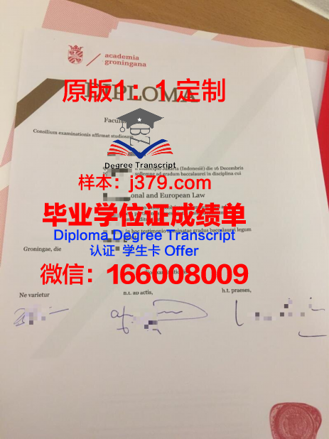 格罗宁根应用科学大学成绩单(格罗宁根大学计算机专业怎么样)