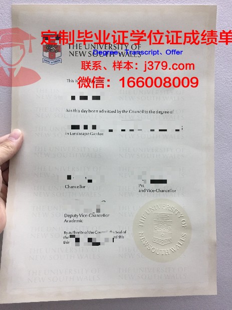 越南岘港大学附属经济大学毕业证:跨国家教育的硕果