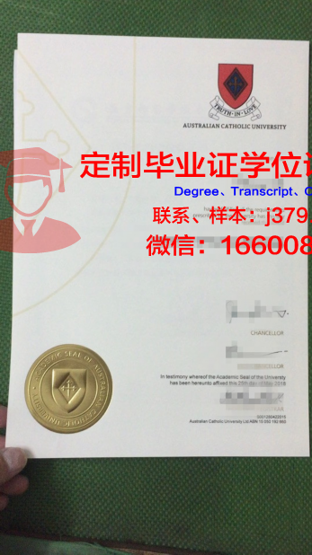 里约热内卢天主大学毕业证(里约天主教大学)
