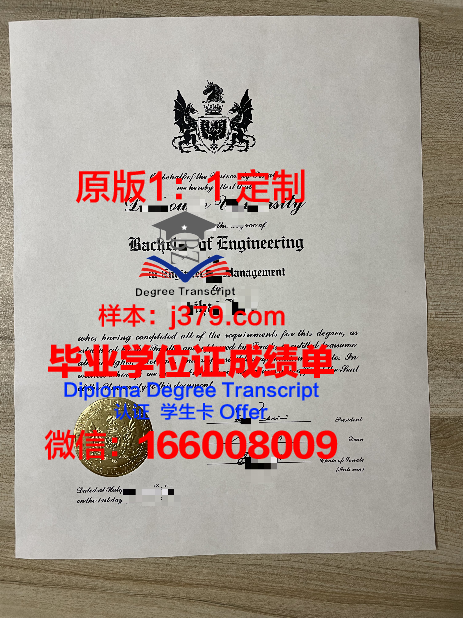 金达尔毕业证:承载着印度教育梦想的证书