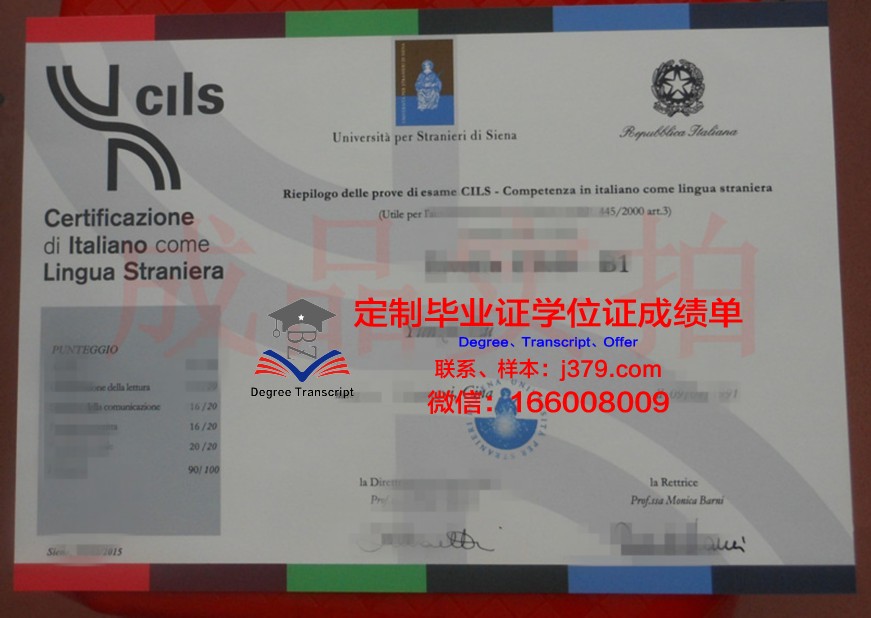 锡耶纳大学本科学位证:开启国际化教育新篇章