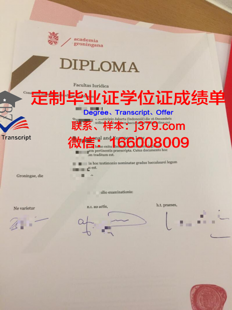 格罗宁根大学毕业证照片(格罗宁根大学相当于国内)