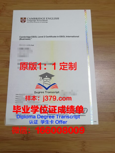 日本学位证书翻译:跨文化交流的重要桥梁