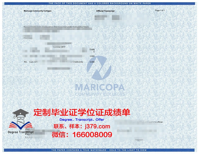 越南外交学院成绩单:培育外交人才,助力国家发展