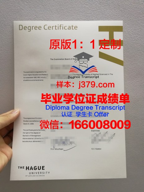 海牙艺术大学毕业证壳子(艺术学院毕业证图片)