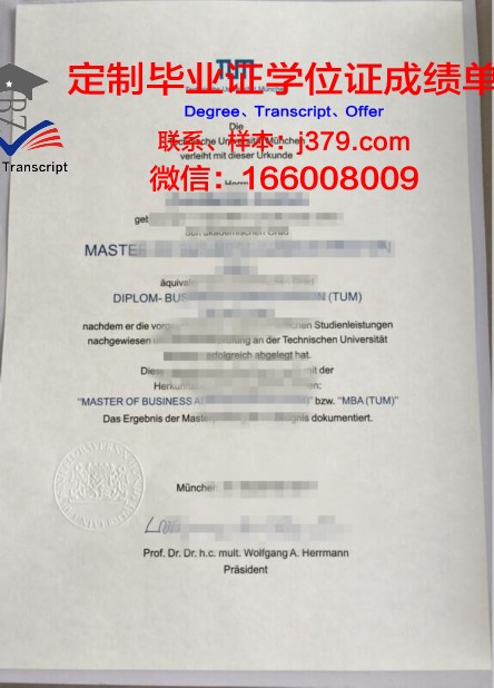 慕尼黑工业大学 diploma 毕业证
