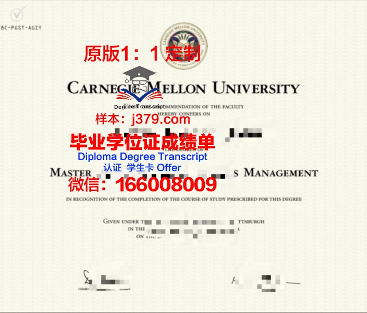 卡梅里诺大学毕业证书模板(卡内基梅隆大学毕业证)