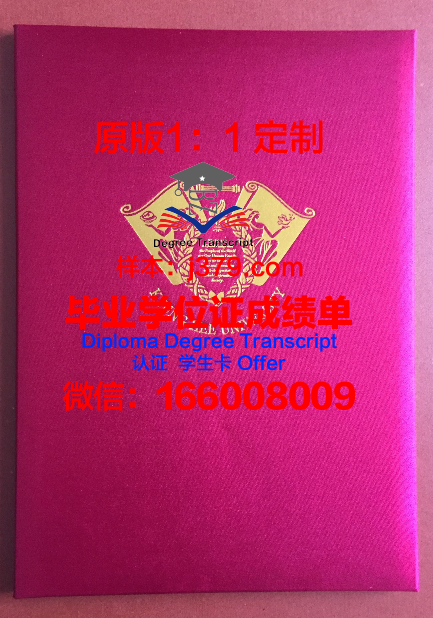 卡蒙多装饰艺术学院毕业证壳子(卡蒙设计怎么样)