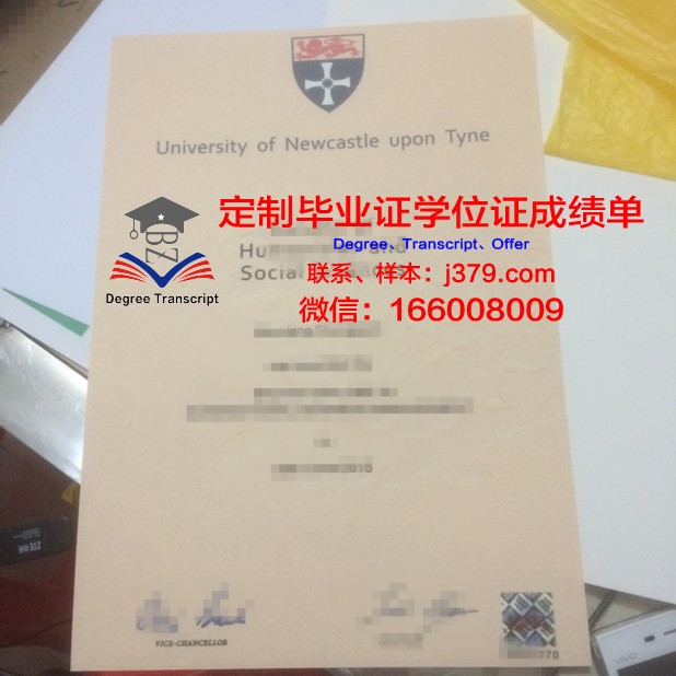 卡马河畔切尔尼社会教育技术与资源学院毕业证书几月份拿到(卡马河畔切尔尼中央广场)
