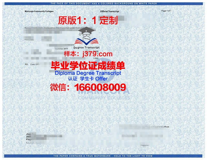 卡托维兹经济大学学位成绩单定制:探秘背后的市场需求与合法性考量