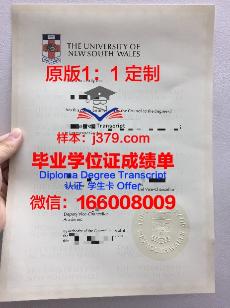 预毕业证明:为未来插上翅膀的“通行证”