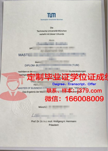 慕尼黑工业大学毕业证图片(慕尼黑工业大学本科毕业率)