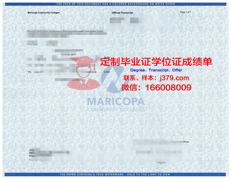 格勒诺布尔经济管理学院学位成绩单定制:专业、严谨、权威
