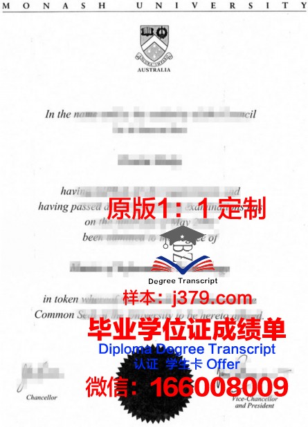 吕讷堡大学毕业文凭