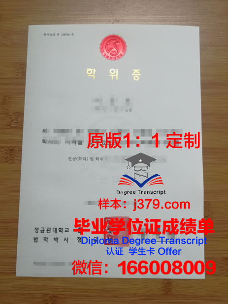 卡迪·阿雅德大学博士学位证:一份荣誉的象征