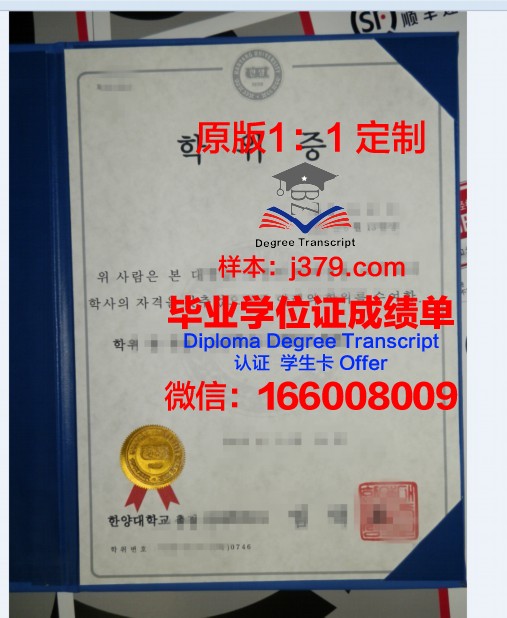 叶列茨基国立大学本科学位证:开启国际视野的黄金钥匙