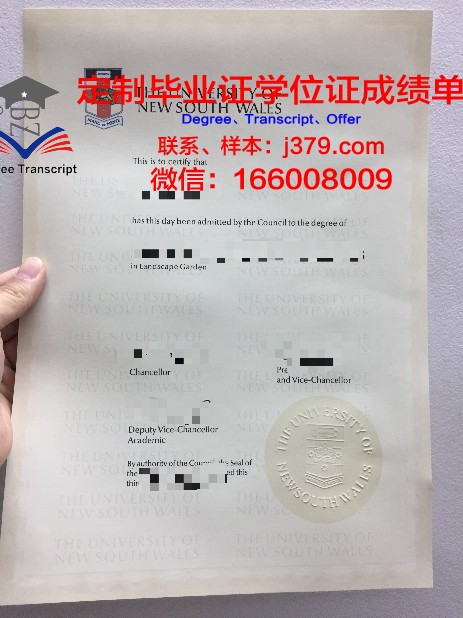 清迈硕士毕业证:跨国教育的璀璨成果