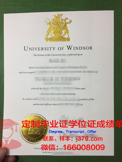 温莎大学毕业证书图片模板(温莎大学本科申请条件)