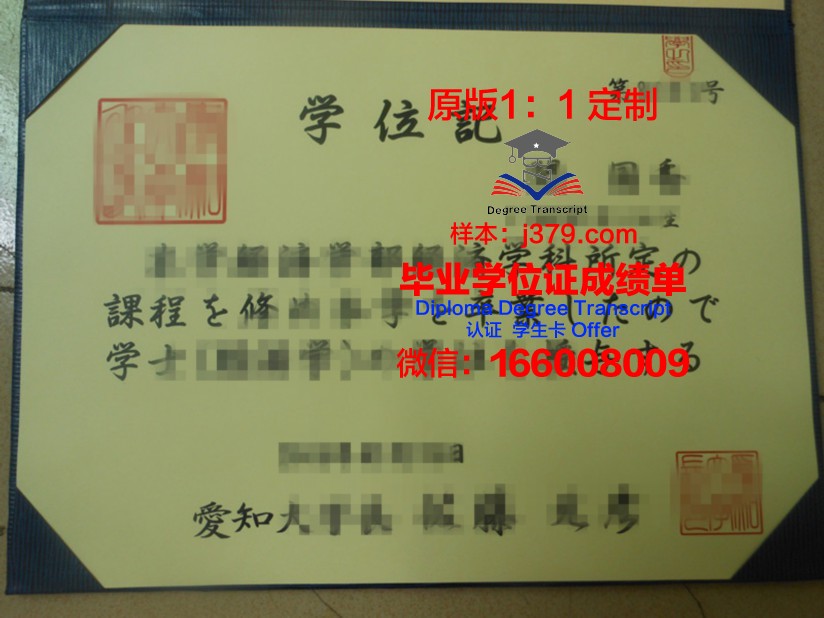 爱知教育大学成绩单(教务处成绩单打印)