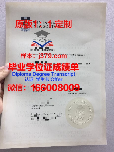 爱沙尼亚商学院硕士毕业证:开启国际职场新篇章