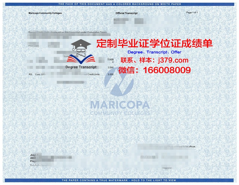 熊大成绩单:记录成长足迹,见证砥砺前行
