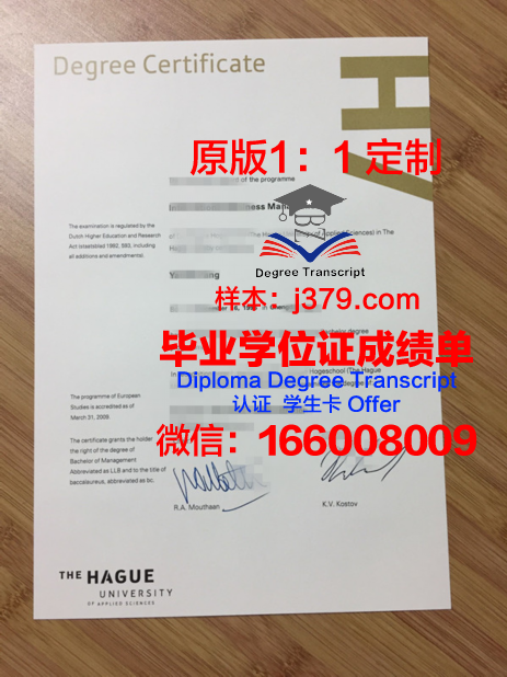 海牙应用科学大学毕业证书模板(海牙应用技术大学)
