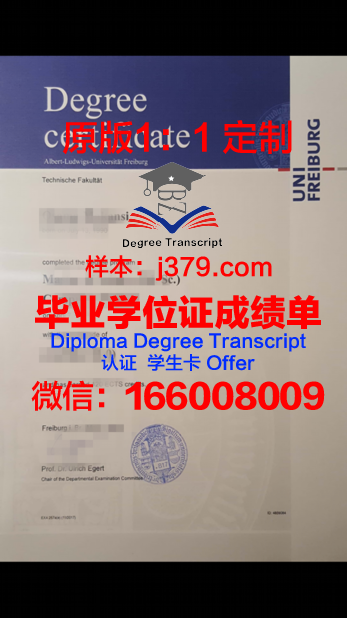 德国弗菜堡大学博士毕业证(弗莱堡大学dsh)