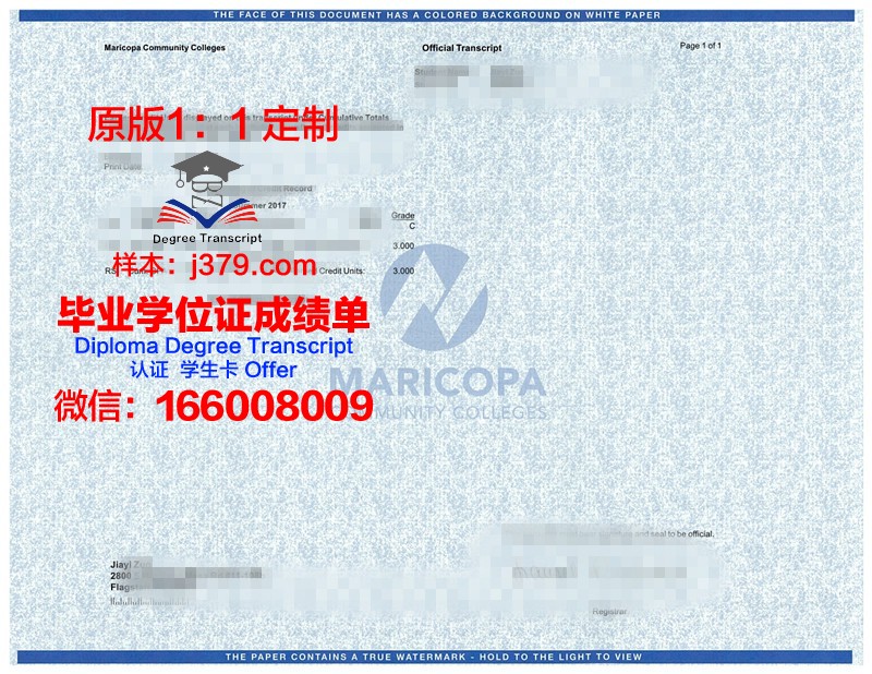 忠北大学学位成绩单定制:用心服务,助力学子