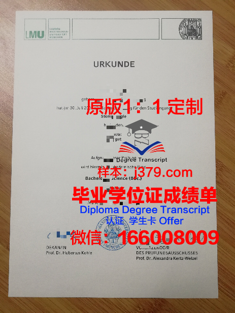 德国慕尼黑大学研究生毕业证(德国慕尼黑大学研究生毕业证书)
