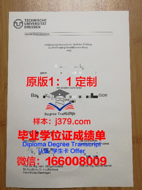 德累斯顿工程和经济应用技术大学毕业证壳子(德累斯顿工业大学建筑学怎么样)