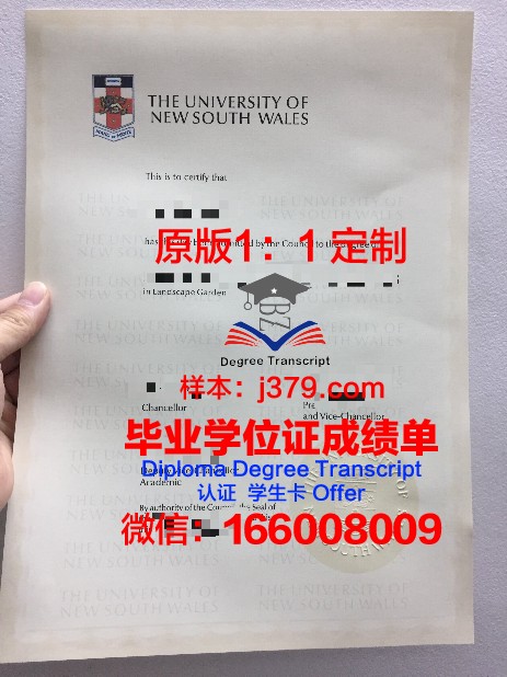 思特毕业证成绩单:一份承载青春回忆的纸笔传奇