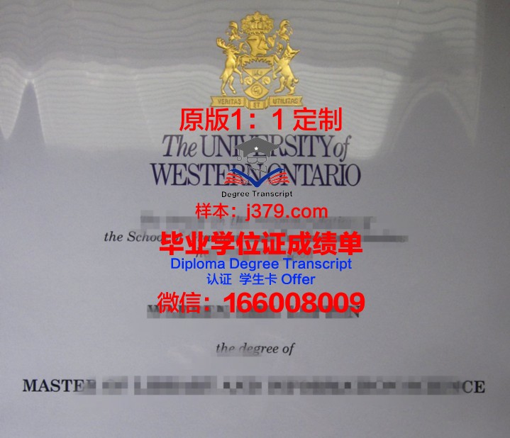 滨海大学文凭(滨海学院国家承认学历吗)