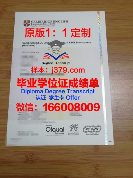淮南联大毕业证书图片:历史的印记与青春的回忆