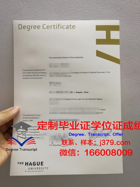 海牙艺术大学成绩单:一份全球艺术殿堂的学术见证