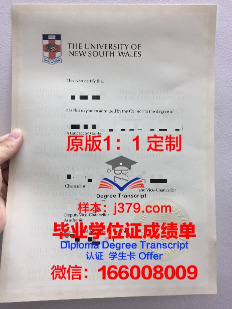 德比尔特本科毕业证:一张纸的重量