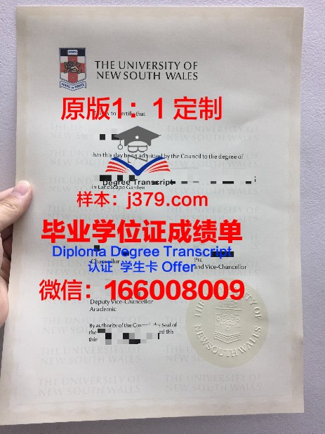 潘普洛纳大学毕业证样本(潘普洛纳奔牛节)