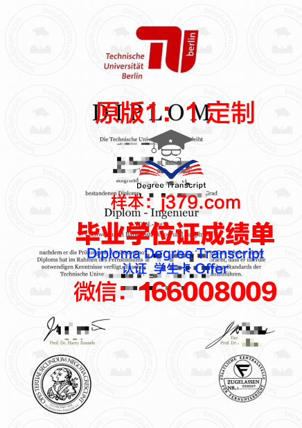 德国柏林工业大学证书成绩单(柏林工业大学官网中文)