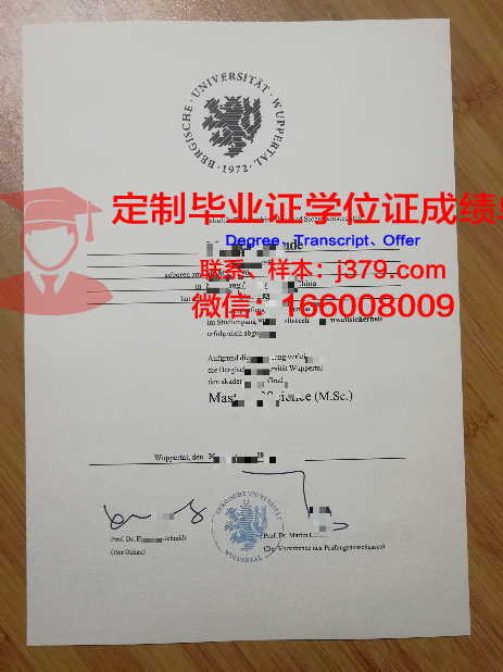 德国多特蒙德工业大学毕业证(德国多特蒙德大学好吗)