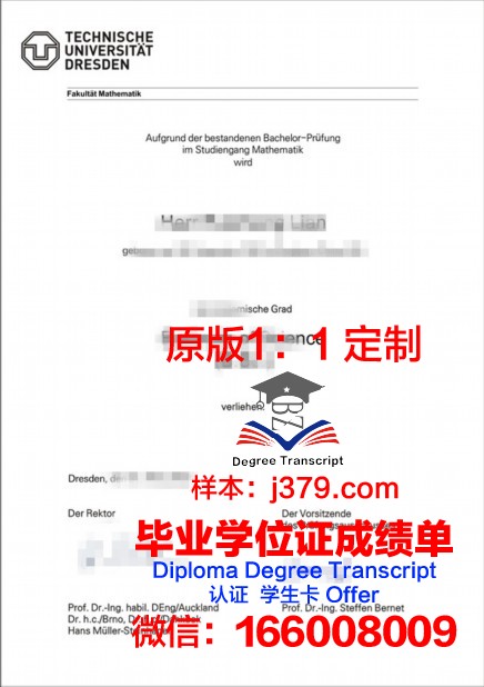 德累斯顿工程和经济应用技术大学博士毕业证(德累斯顿应用科技大学)
