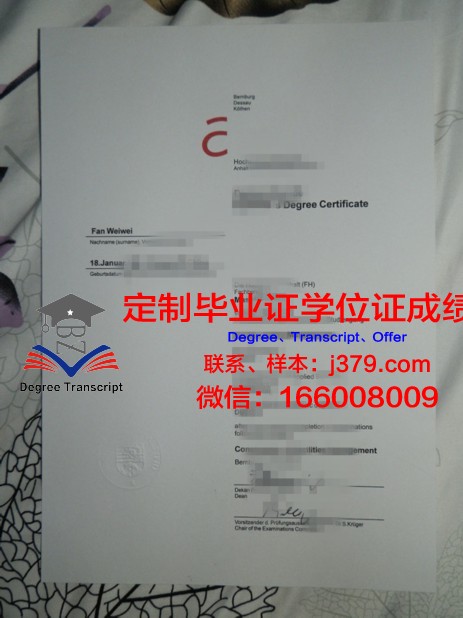 阿伦应用技术大学博士毕业证书(阿伦应用技术大学在德国什么水平)