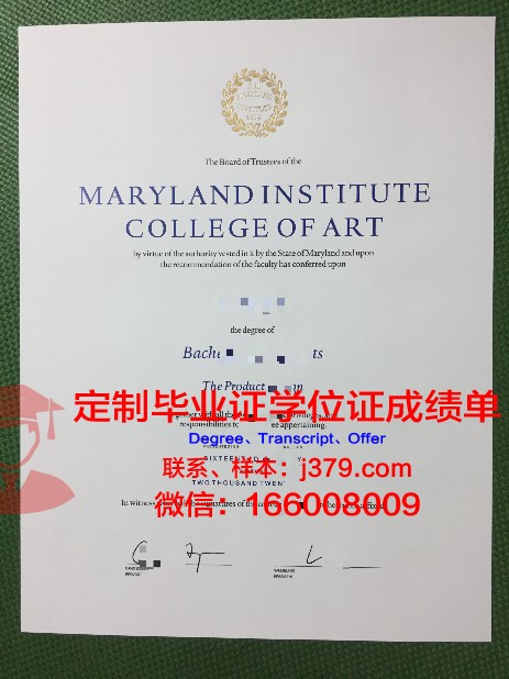 温彻斯特艺术学院毕业文凭